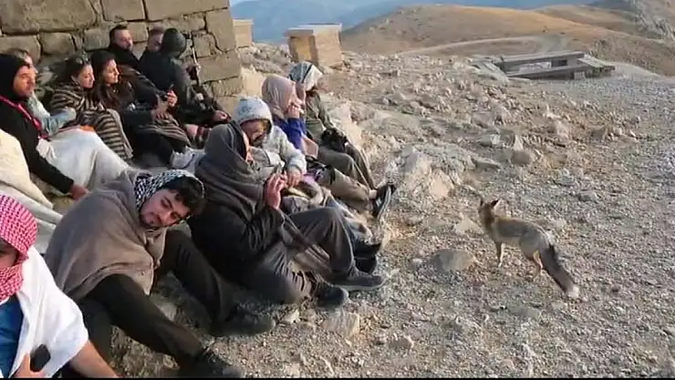 Nemrut Dağı'nın zirvesinde sürpriz ziyaretçi