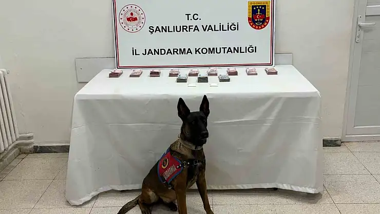 Şanlıurfa'da 210 bin TL ile uyuşturucu madde ele geçirildi