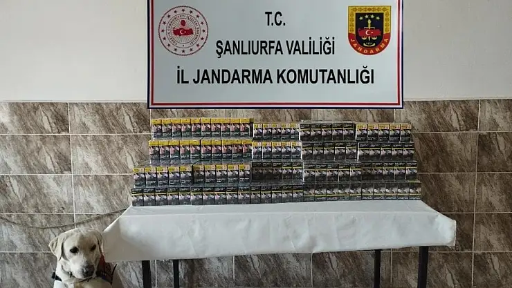 Şanlıurfa'da 420 paket gümrük kaçağı sigara ele geçirildi