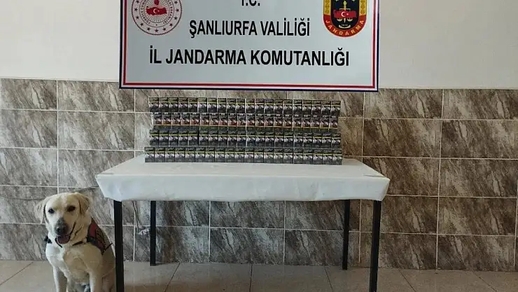 Şanlıurfa'da 7 bin 940 paket kaçak sigara ele geçirildi