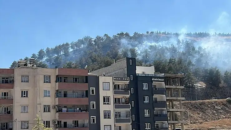 Şanlıurfa'da ağaçlık alanda çıkan yangın söndürüldü