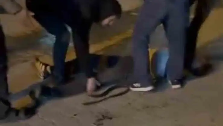 Şanlıurfa'da bıçaklı kavga: 3 yaralı