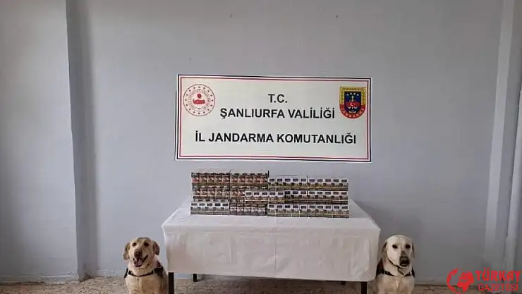 Şanlıurfa'da bin 720 paket kaçak sigara ele geçirildi