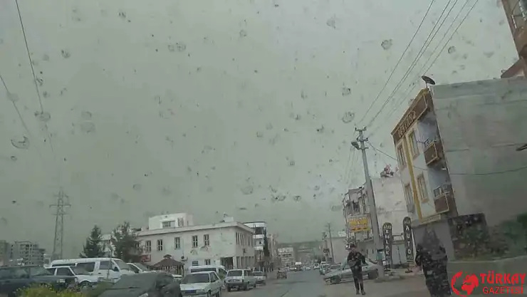 Şanlıurfa'da çamur yağdı
