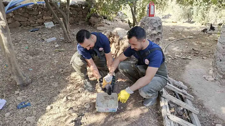 Şanlıurfa'da foseptik çukuruna düşen köpek yavrusu kurtarıldı