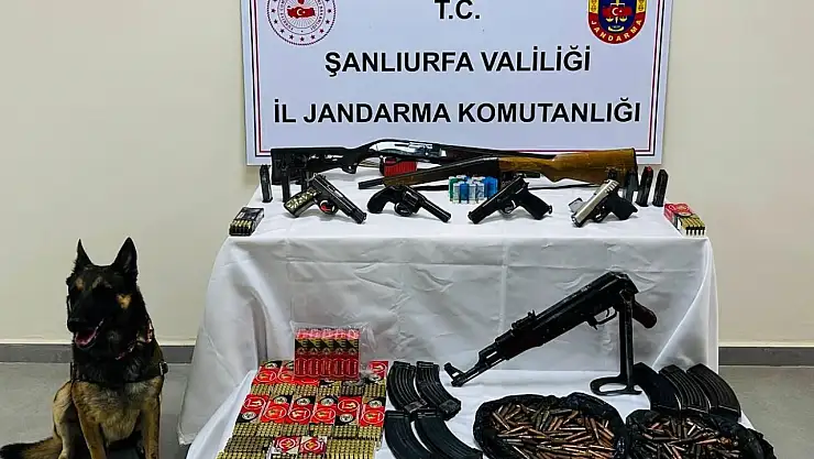 Şanlıurfa'da ruhsatsız silah operasyonu