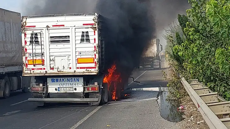 Şanlıurfa'da seyir halindeki tır alev aldı