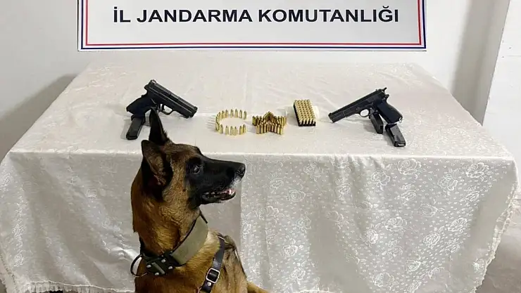 Şanlıurfa'da silah kaçakçılığı operasyonu: 8 gözaltı