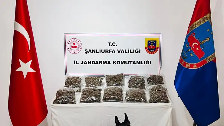 Şanlıurfa'da uyuşturucu operasyonu: 1 gözaltı