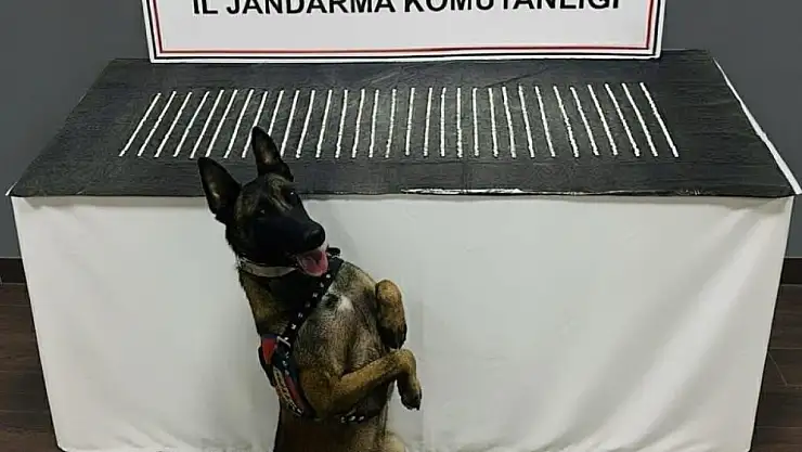 Şanlıurfa'da uyuşturucu operasyonu: 3 gözaltı