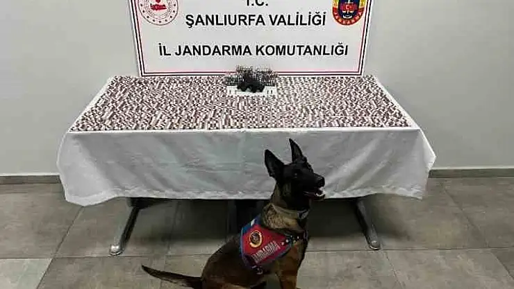 Şanlıurfa'da uyuşturucu operasyonu: 2 gözaltı