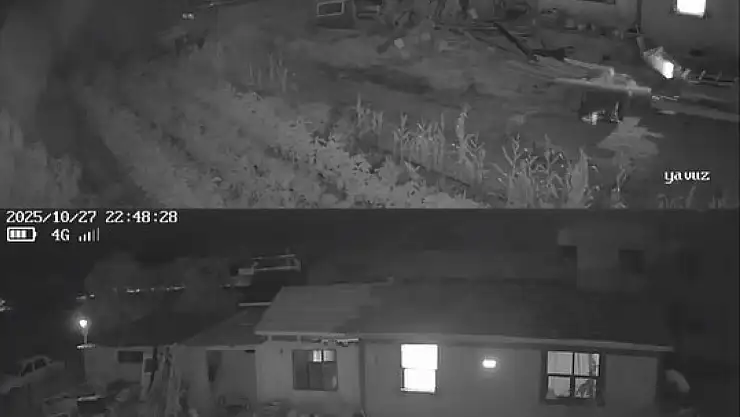 Sındırgı depreminde beşik gibi sallandı...O anlar kamerada