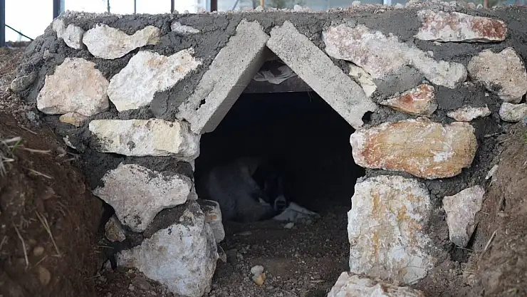 Adıyaman Belediyesi sokak hayvanlarına doğal yaşam alanı yapıldı