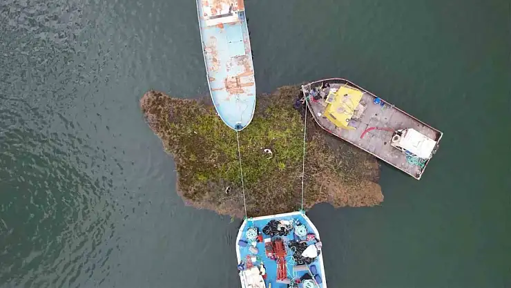 Tabiat varlığı yüzen adalar baraj ortasına sabitleniyor