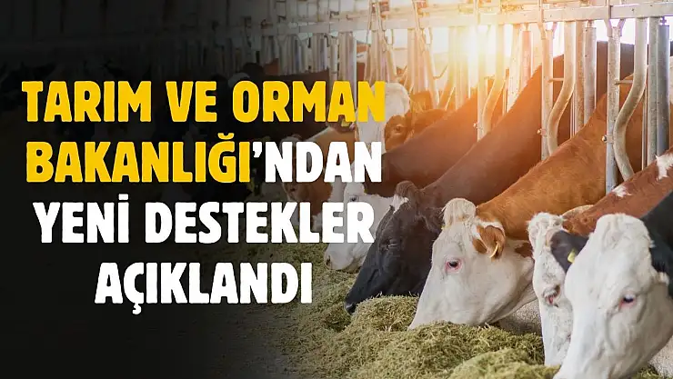 Tarım ve Orman Bakanlığı'ndan yepyeni sağlık desteği ve üç dönemli başvuru sistemi