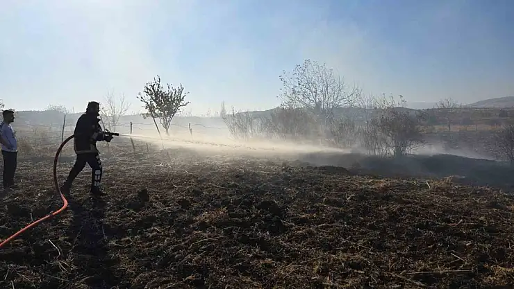 Tarlada çıkan yangın söndürüldü