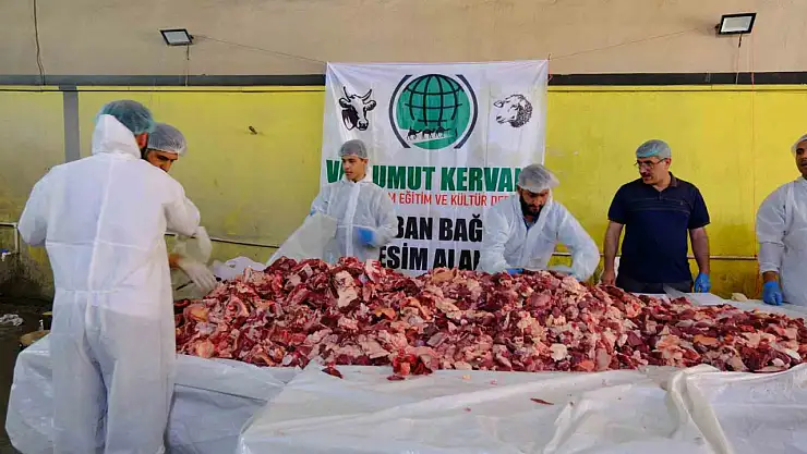 Van'da geleneksel toplu kurban kesimi