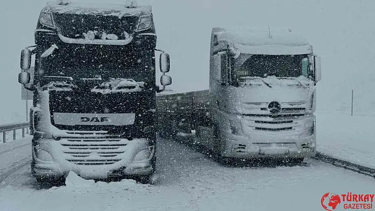 Van'da kar yağışı