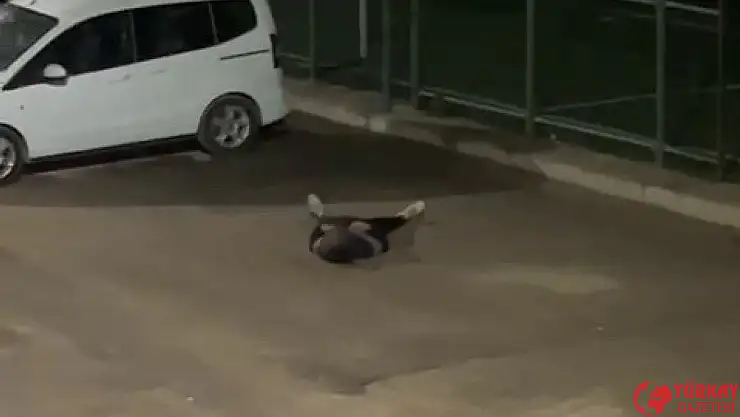 Yere yığılan şahıs hastaneye kaldırıldı