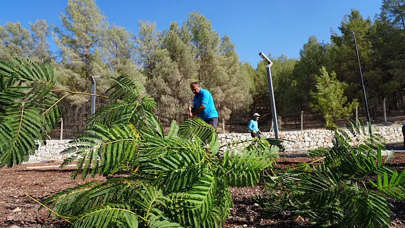 Adıyaman Belediyesi'nden Narlıkuyu'da yeşil dönüşüm