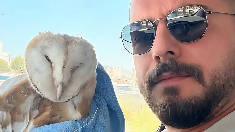 Adıyaman'da bitkin halde Bayağı Peçeli Baykuş bulundu