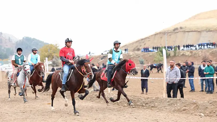 Adıyaman'ın İl Oluşunun 71. Yılı, Rahvan At yarışlarının heyecanı ile kutlandı