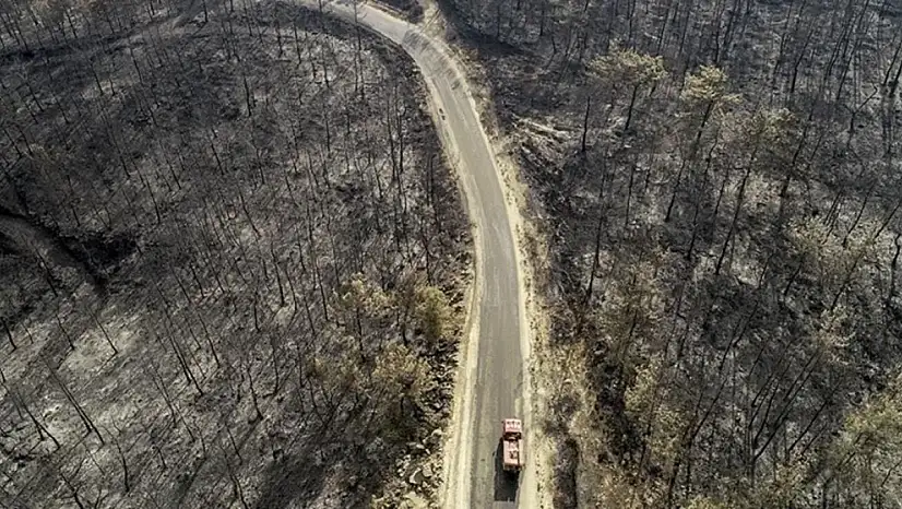 Afet bölgesi nedir? Afet Bölgesi olunca ne olur?
