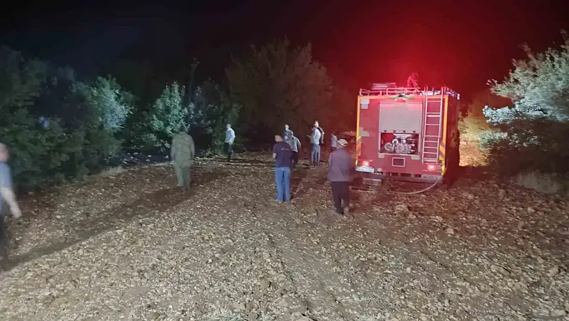 Çöp yangını ormana sıçradı