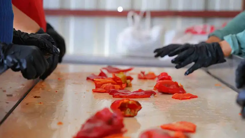 Kahramanmaraş'ta salça telaşı başladı: Tarladan pazara, pazardan sofralara uzanan yolculuk