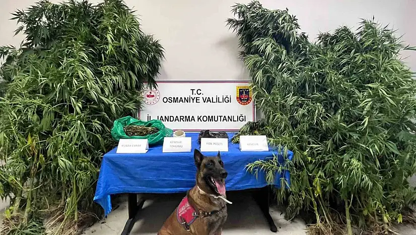 Osmaniye'de 1 haftada 105 şüpheli yakalandı