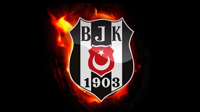 SON DAKİKA: Beşiktaş'tan sert açıklama! Köpeksiz köy bulanlar...
