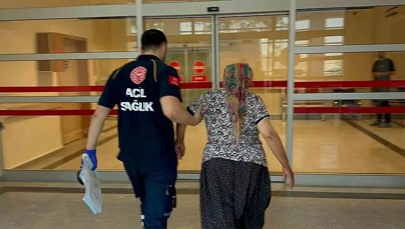 Yılanın ısırdığı kadın hastaneye kaldırıldı