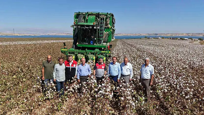Adıyaman'da 2025 yılı pamuk hasadı başladı