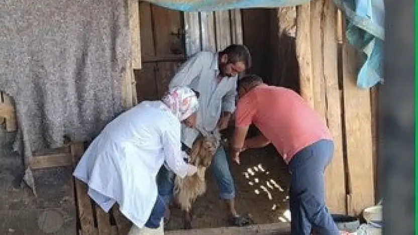 Adıyaman'da zoonoz hastalıklarla mücadele kararlılıkla sürüyor