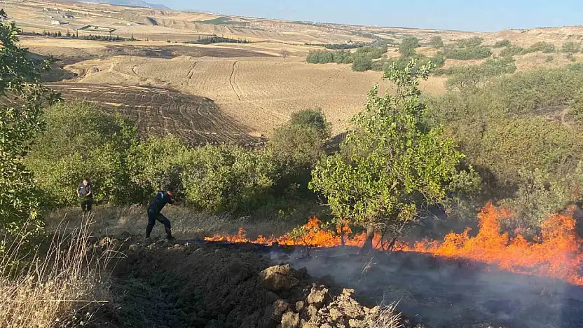 Anız yangını bahçelere sıçradı
