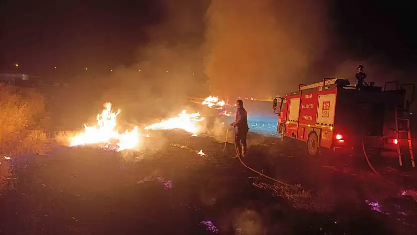 Anız yangınında ağaçlar, direkler ve kablolar zarar gördü