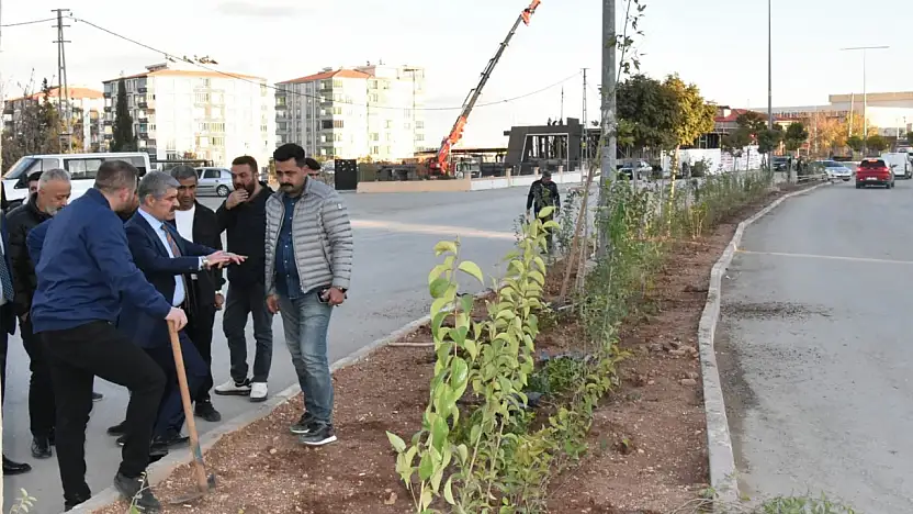 Besni Belediyesi orta refüjlerde çit bitkisi ekimi yaptı
