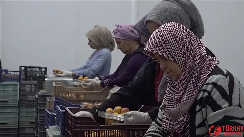 Depremzede girişimciye 200 milyon TL destek