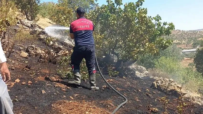 Gölbaşı'nda ormanlık alan yandı