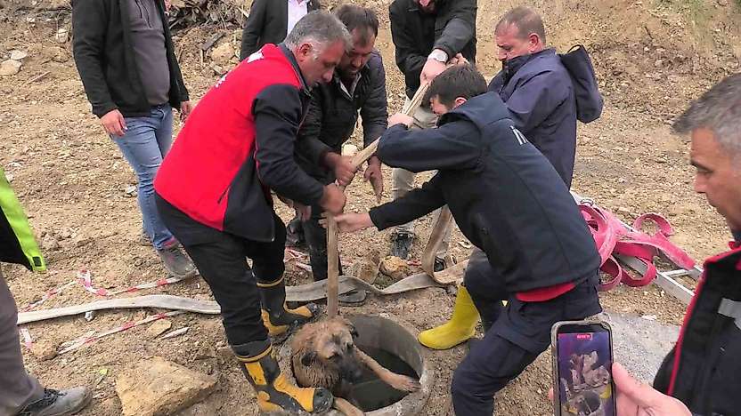 Besni'de kanalizasyona düşen köpeği itfaiye kurtardı