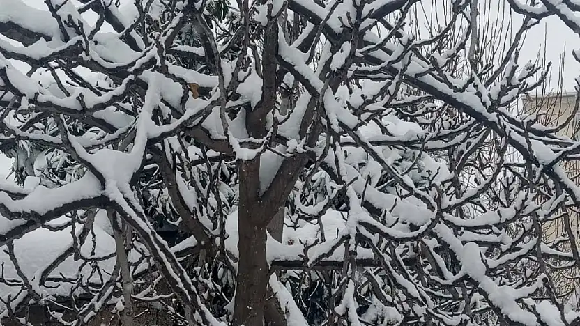 Kar yağışı Gölbaşı'nda kartpostallık görüntüler oluşturdu