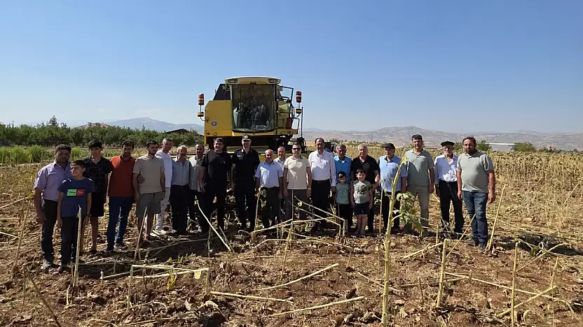 Kaymakam Algın Ayçiçek hasadına katıldı