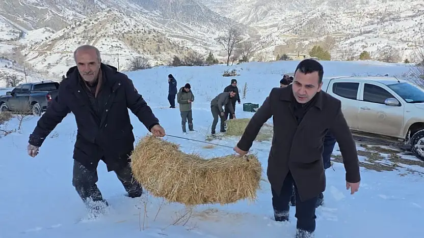 Kaymakam Algın görevlilerle birlikte doğaya yem bıraktı