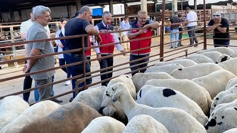 Kurbanlık hayvan satışı ve nakliyesi sıkı denetimde