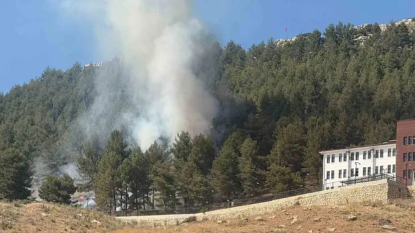Ormanlık alanda çıkan yangın korkuttu