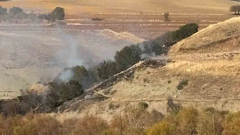 Ormanlık alanda korkutan yangın