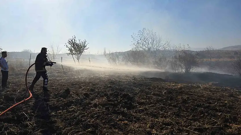 Tarlada çıkan yangın söndürüldü