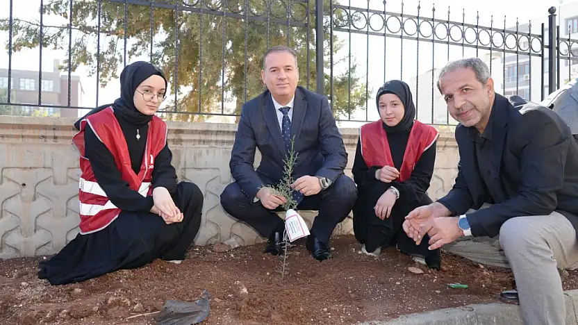 Tosun, Türkiye Yeşeriyor, Gazze Güçleniyor Fidan dikim etkinliğine katıldı