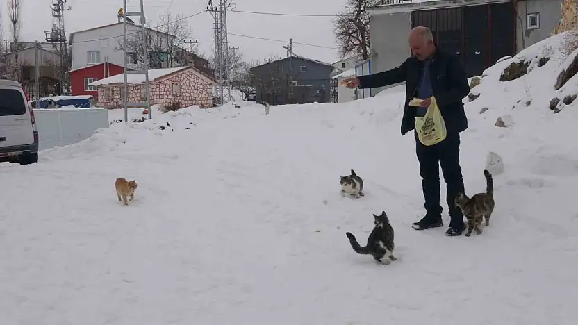 Yaklaşık 2 bin nüfuslu köyde kışın sadece bir aile yaşıyor