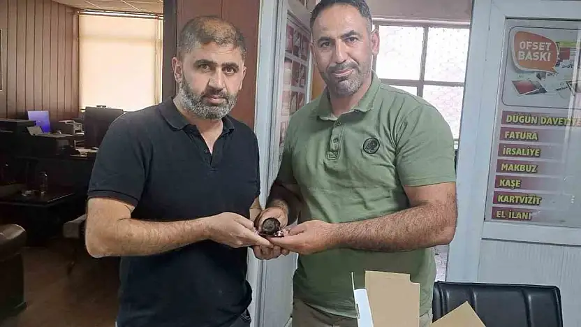 Yaralı halde bulunan ebabil kuşu doğa koruma ekiplerine teslim edildi